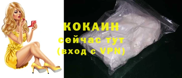 спайс Алексин