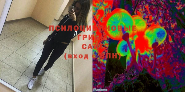 спайс Алексин
