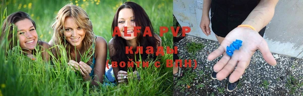 jwh Алзамай