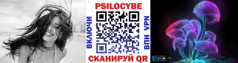 Псилоцибиновые грибы MAGIC MUSHROOMS  Юрьев-Польский 