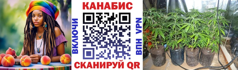 Бошки марихуана OG Kush  купить наркоту  Юрьев-Польский 